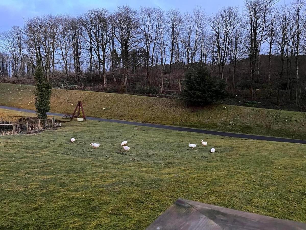 4 Squirrel View Hotel Stranraer Eksteriør billede